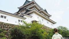 #20 和歌山城・1
