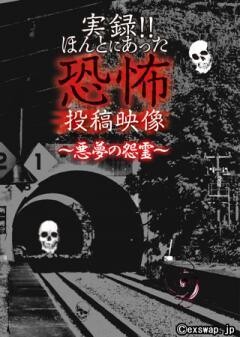 実録!!ほんとにあった恐怖の投稿映像 〜悪夢の怨霊〜