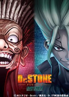 Dr.STONE NEW WORLD（第3期）