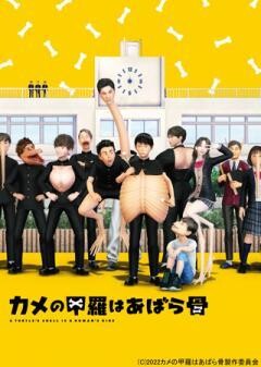 カメの甲羅はあばら骨