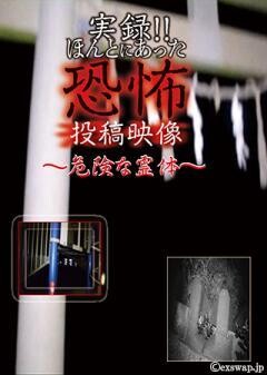 実録!!ほんとにあった恐怖の投稿映像 〜危険な霊体〜