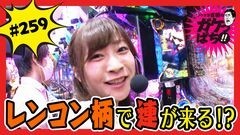#259 ガケっぱち!!/長田 圧平（チョコレートプラネット）