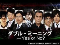ダブル・ミーニング――Yes or No ?