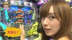 #1 パチマガ シーズン10/CR緑ドン/フルスロ/CRペルソナ4
