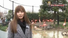 #3 パチマガ シーズン11/真・北斗無双/牙狼 ザルバ