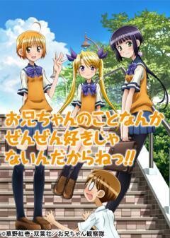 お兄ちゃんのことなんかぜんぜん好きじゃないんだからねっ!!