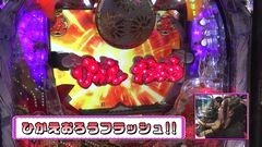 #205 ビワコのラブファイター/水戸黄門III