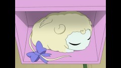 第251話　556と5884！　であります