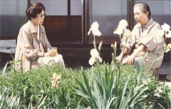 午後の遺言状