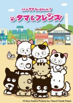 タマ＆フレンズ〜うちのタマ知りませんか？〜