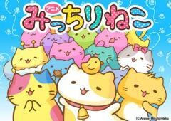みっちりねこ
