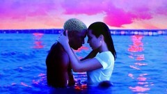 WAVES／ウェイブス(字幕)